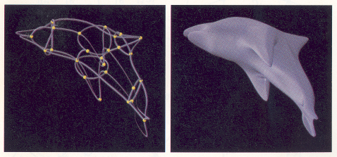 network of curves forming a dolphin